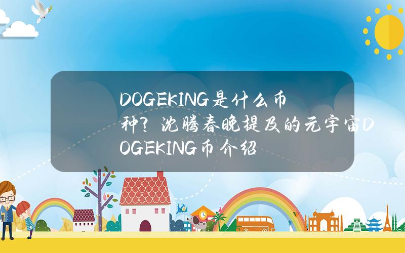 DOGEKING是什么币种？沈腾春晚提及的元宇宙DOGEKING币介绍