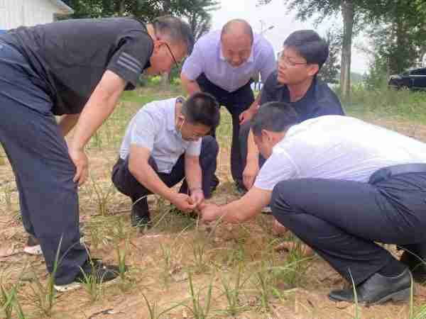 部门一把手，这周在干啥？（6月20日—6月26日）