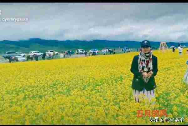 《闲思曲•粮食上》——金玲芬文集九十三